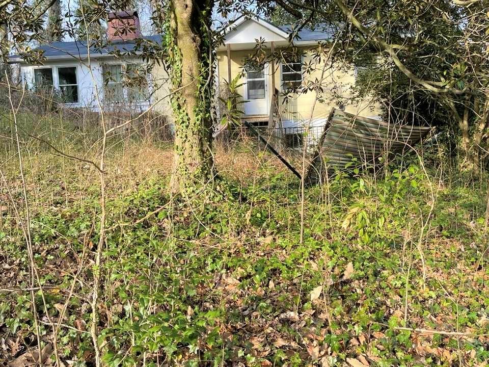 700 New Market Road Tryon, NC 28782 - Photo 32 of 44 a view of a house with a tree