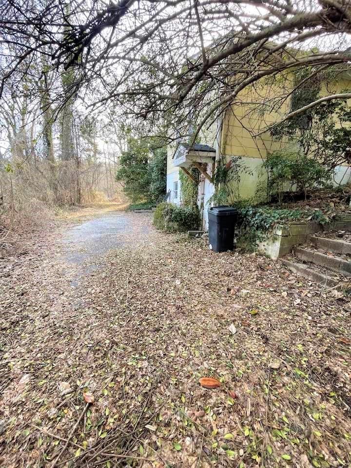 700 New Market Road Tryon, NC 28782 - Photo 33 of 44 a view of a yard with plants and trees