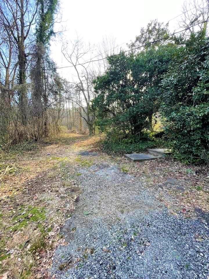 700 New Market Road Tryon, NC 28782 - Photo 34 of 44 a view of outdoor space with trees