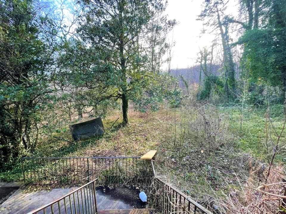 700 New Market Road Tryon, NC 28782 - Photo 38 of 44 a backyard of a house with lots of green space