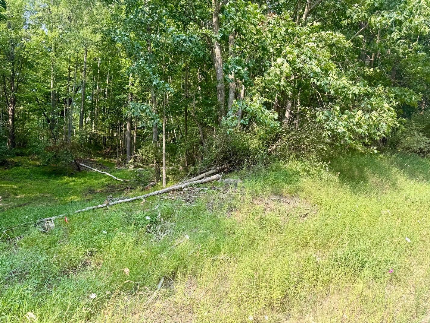 Tbd Tbd River Road Weidman, MI 48893 - Photo 1 of 9 1948526-589df55a-2680-4503-b269-482b19db329e.JPG
