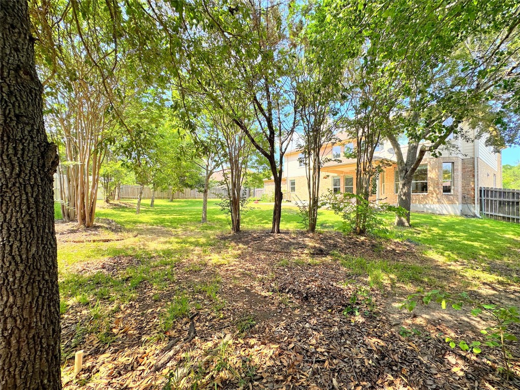 12504 Gun Metal Drive Austin, TX 78739 - Photo 37 of 40 a view of a yard with a tree