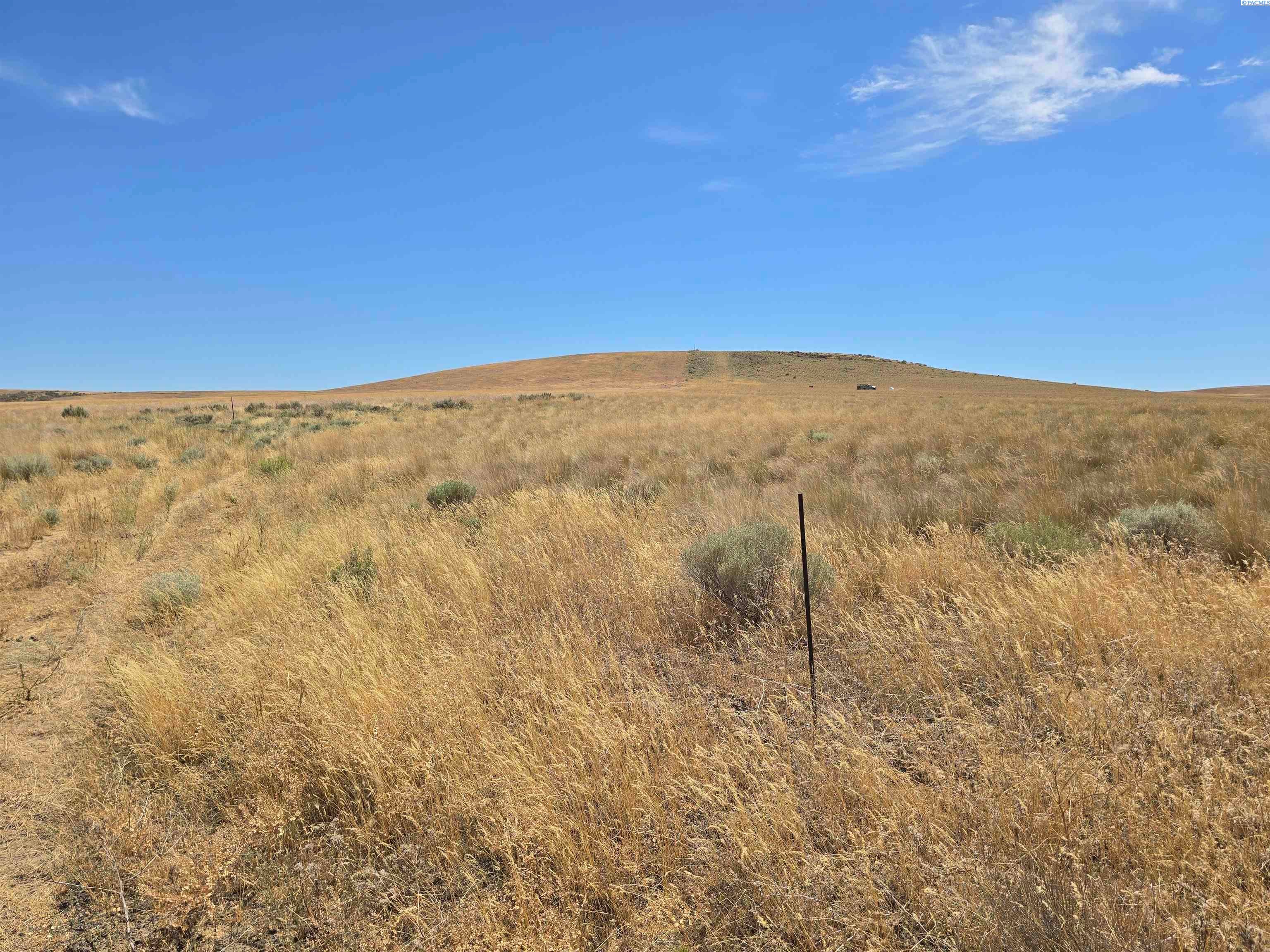 Lot 4 Turpin Road Mabton, WA 98935 - Photo 7 of 27 Gallery Image 7