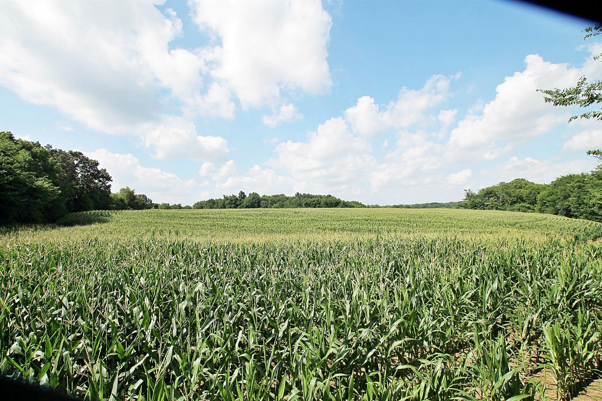 0 Hart Road Springfield, TN 37172 - Photo 5 of 9 a view of a green field with lots of green space