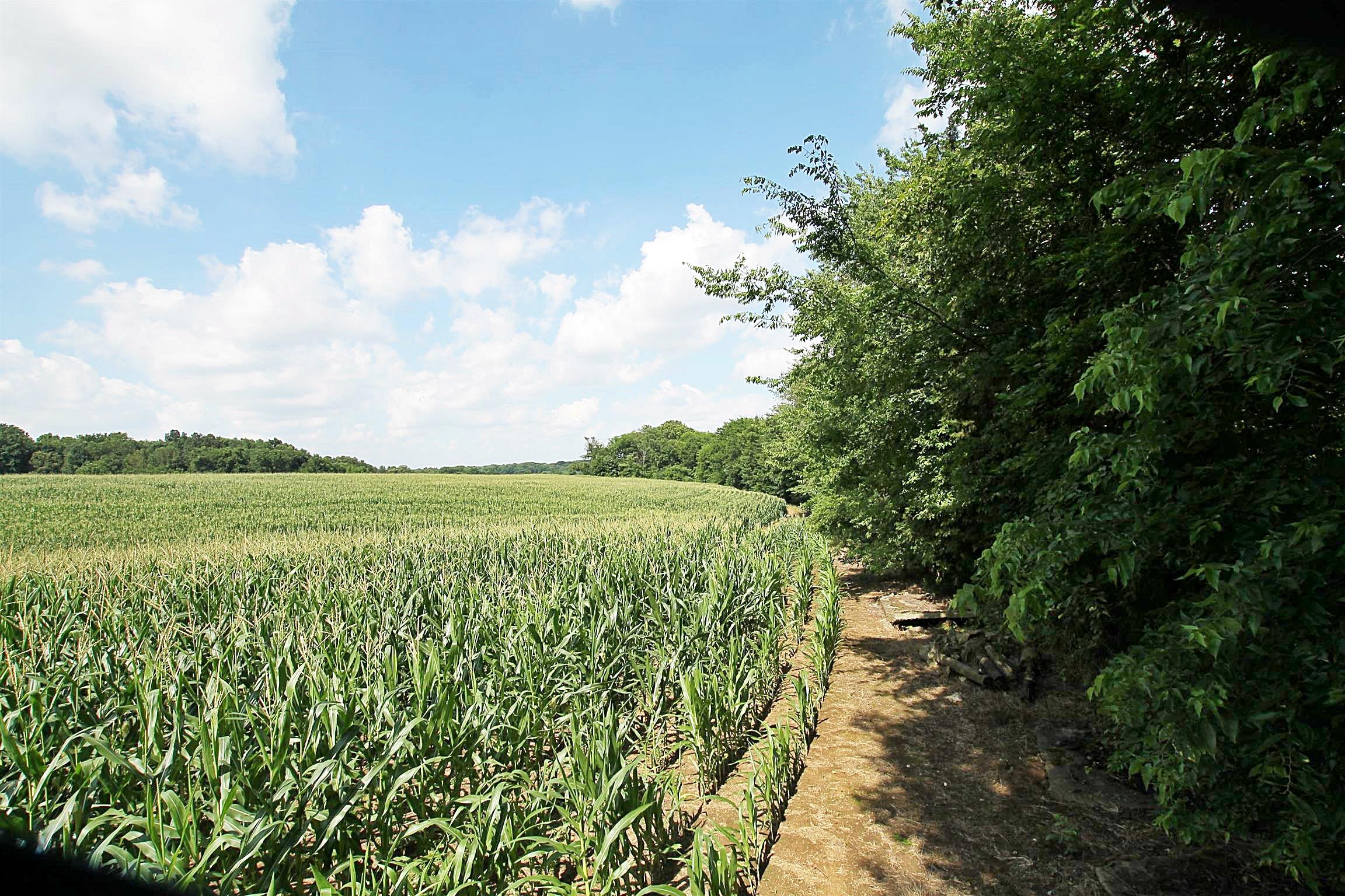 0 Hart Road Springfield, TN 37172 - Photo 7 of 9 a view of a green field with lots of bushes