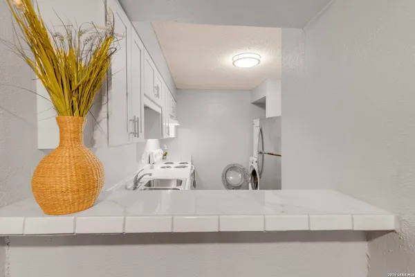 a bathroom with a sink a mirror and a potted plant