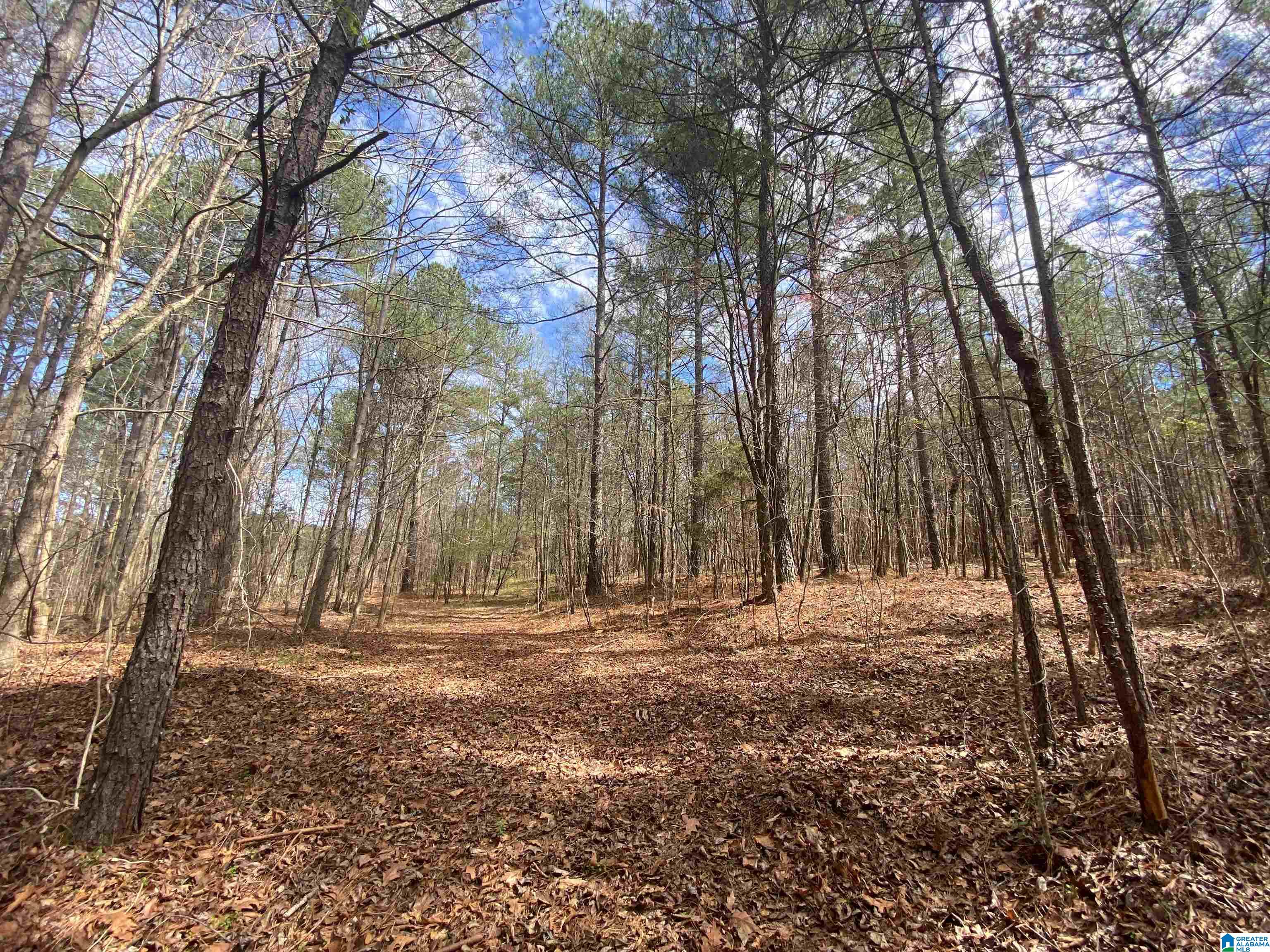 Springs Lane, Unit 12 Springville, AL 35146 - Photo 18 of 26