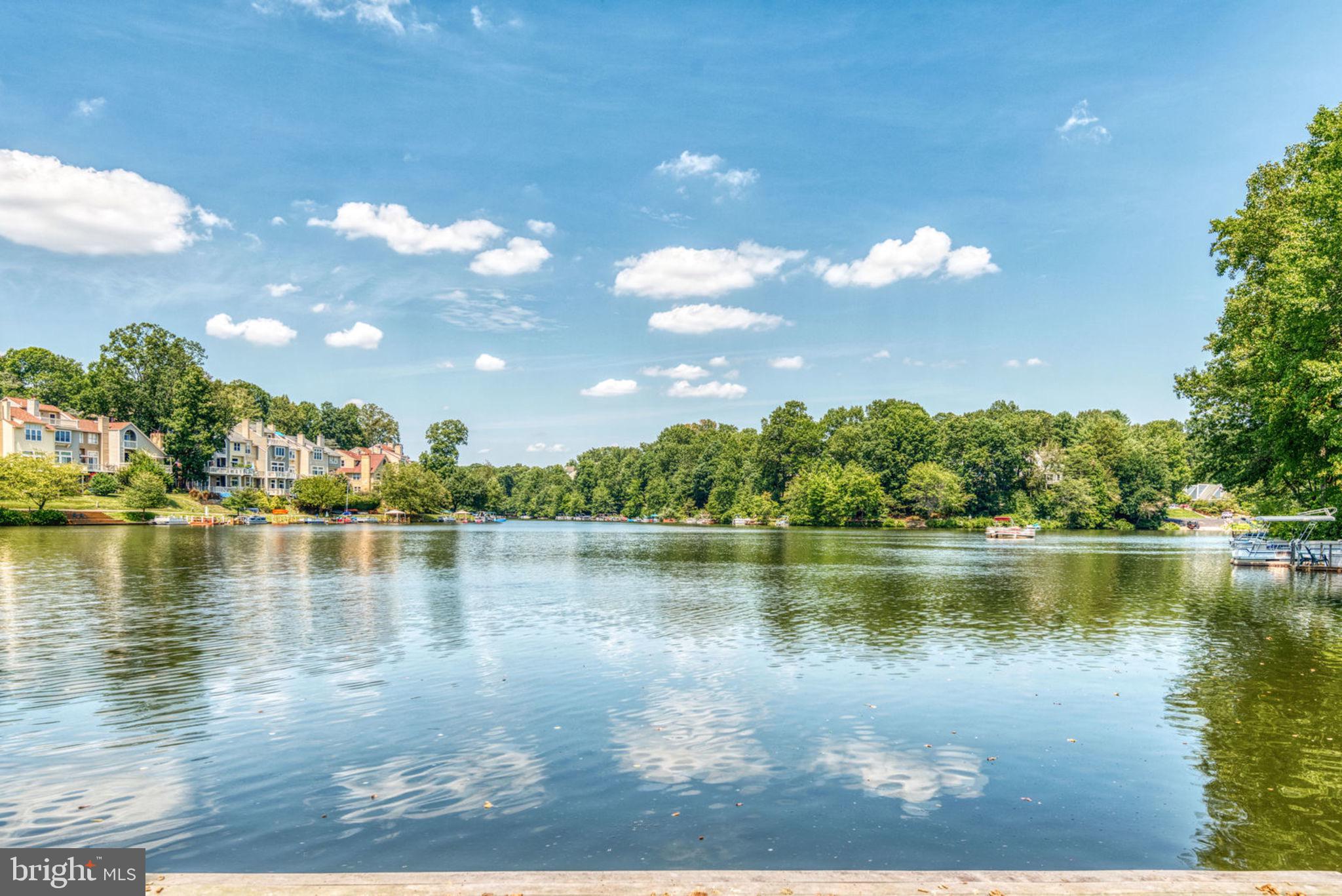 11048 Thrush Ridge Road Reston, VA 20191 - Photo 1 of 54 Rear view