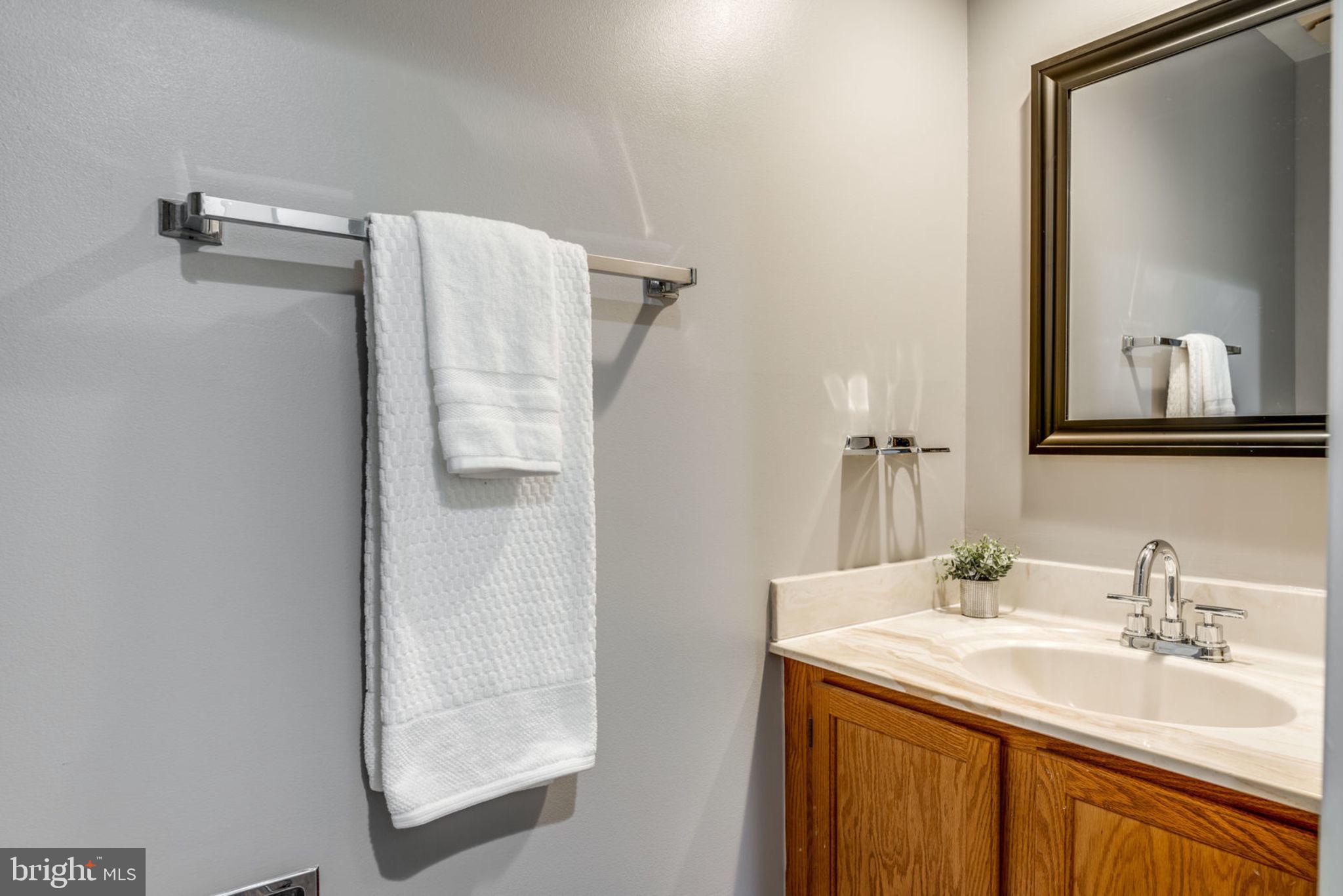 11048 Thrush Ridge Road Reston, VA 20191 - Photo 15 of 54 Bathroom