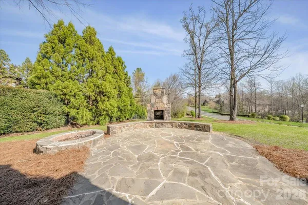 a view of a yard with plants and trees
