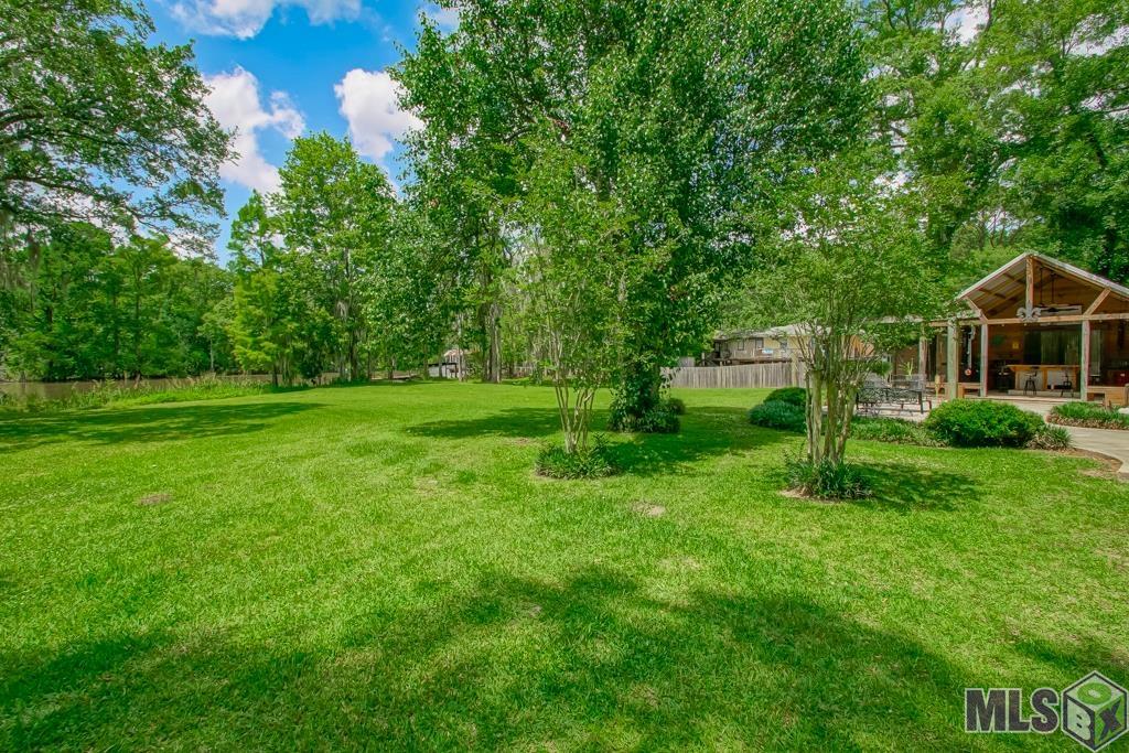 22343 Highway 22 Maurepas, LA 70449 - Photo 27 of 41 Lush Backyard