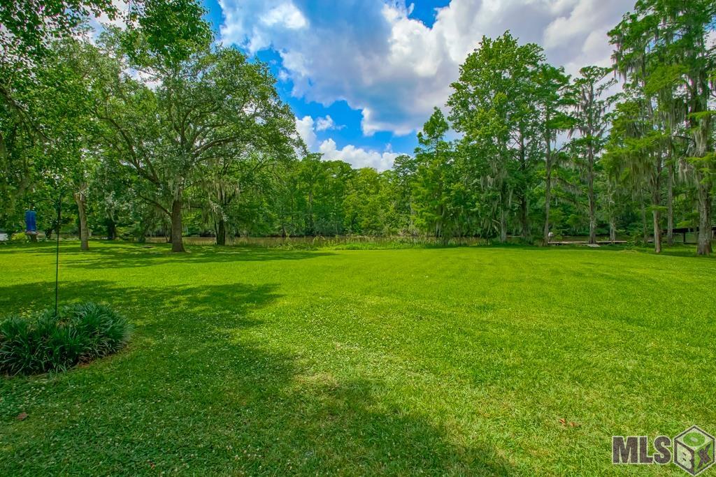 22343 Highway 22 Maurepas, LA 70449 - Photo 28 of 41