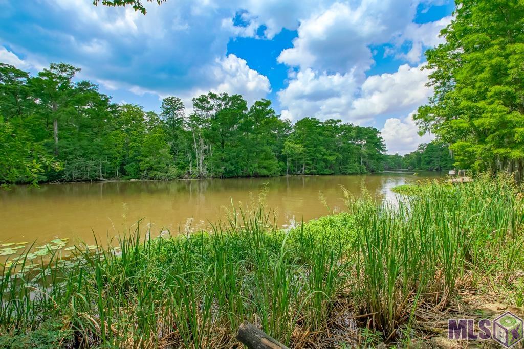 22343 Highway 22 Maurepas, LA 70449 - Photo 31 of 41 Amite River View