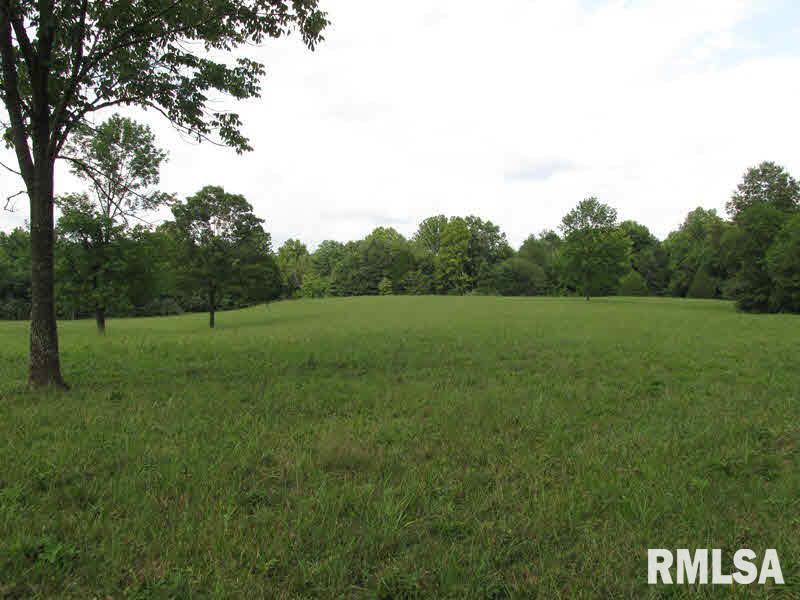68 Dutton Chapel Road Golconda, IL 62938 - Photo 11 of 37