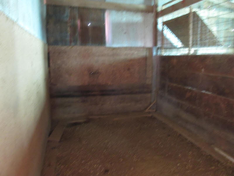 68 Dutton Chapel Road Golconda, IL 62938 - Photo 15 of 37