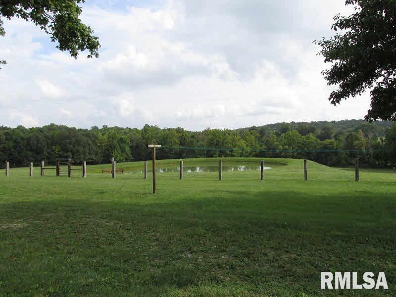 68 Dutton Chapel Road Golconda, IL 62938 - Photo 3 of 37