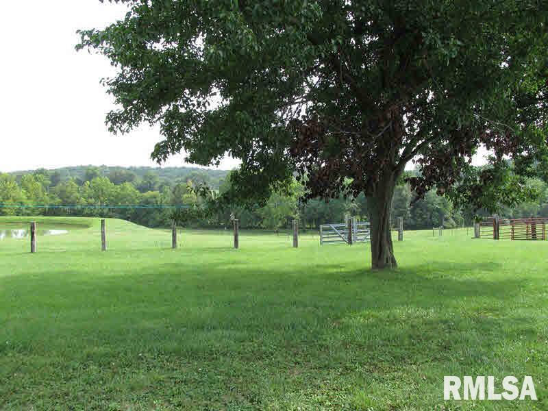 68 Dutton Chapel Road Golconda, IL 62938 - Photo 5 of 37