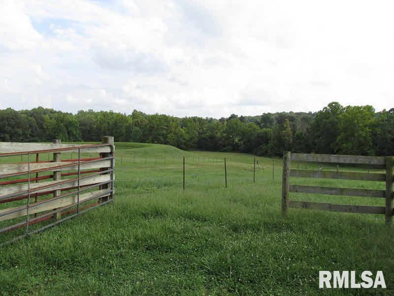 68 Dutton Chapel Road Golconda, IL 62938 - Photo 8 of 37