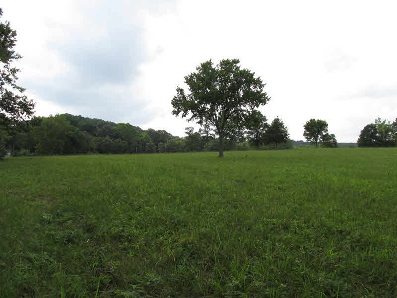 68 Dutton Chapel Road Golconda, IL 62938 - Photo 10 of 37