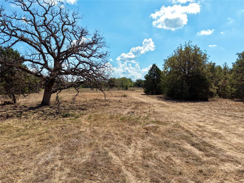 0 Allen Ranch Road, Unit LOTS 68 & 69 Eustace, TX 75124 - Photo 9 of 11 Interior Tree and Open Ground
