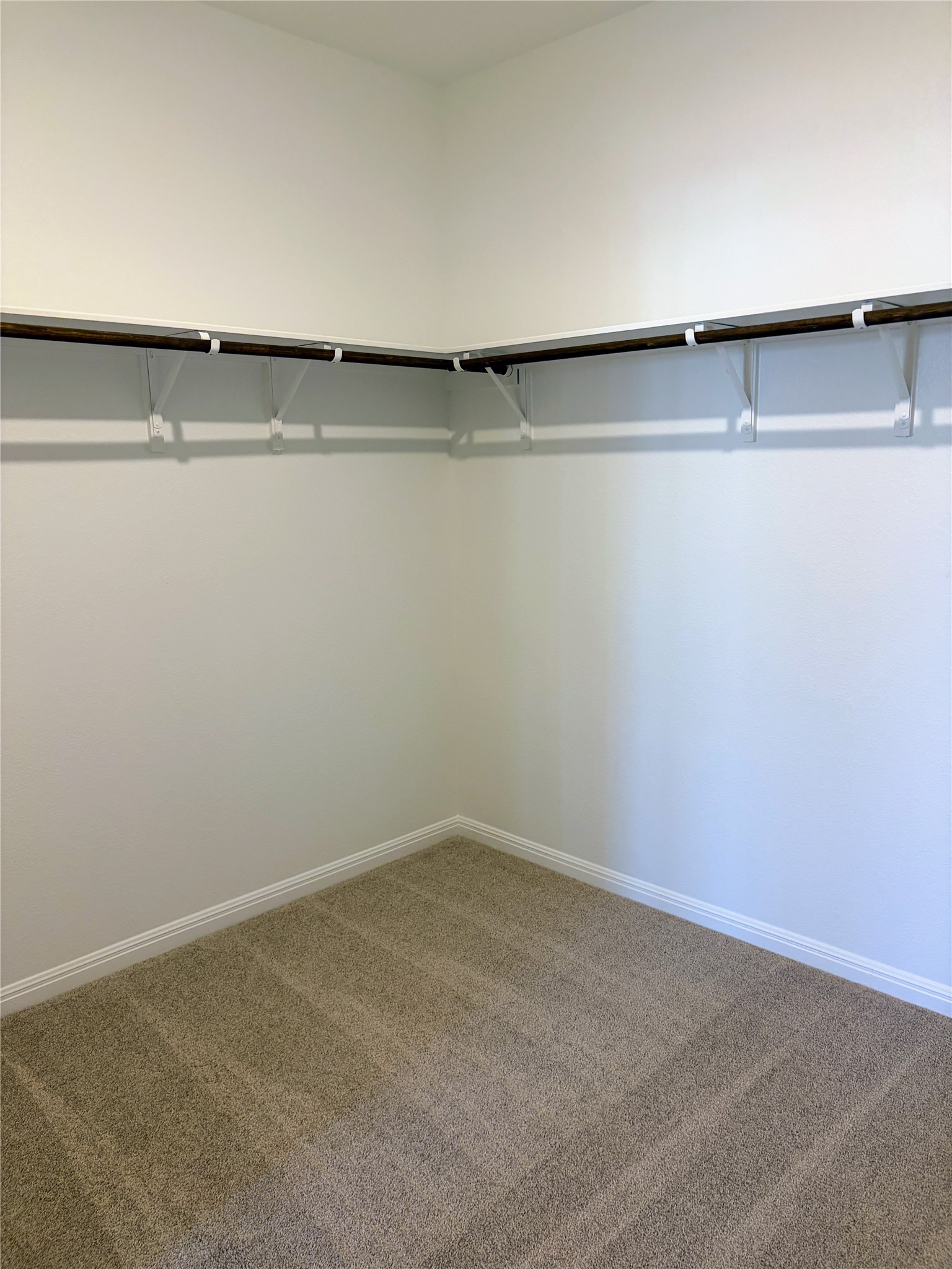 440 El Capitan Loop Dripping Springs, TX 78620 - Photo 13 of 22 Primary Walk in closet featuring carpet flooring