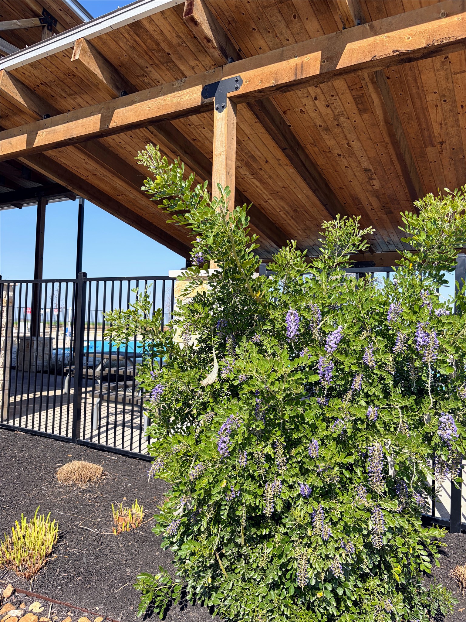 440 El Capitan Loop Dripping Springs, TX 78620 - Photo 20 of 22 Community Pool