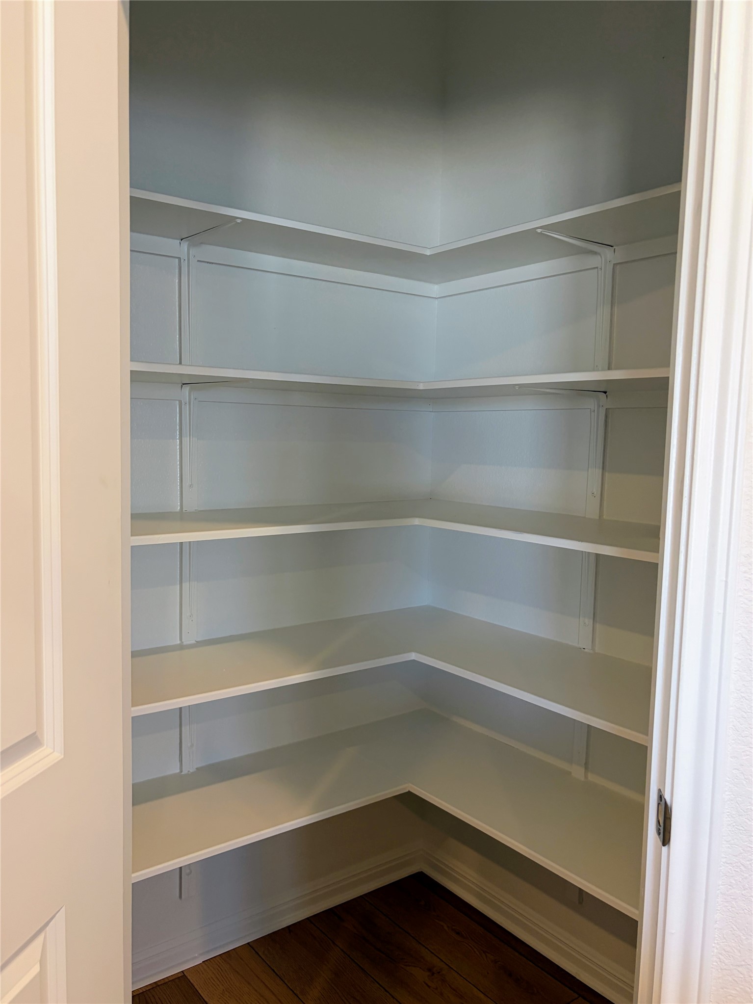 440 El Capitan Loop Dripping Springs, TX 78620 - Photo 10 of 22 View of pantry