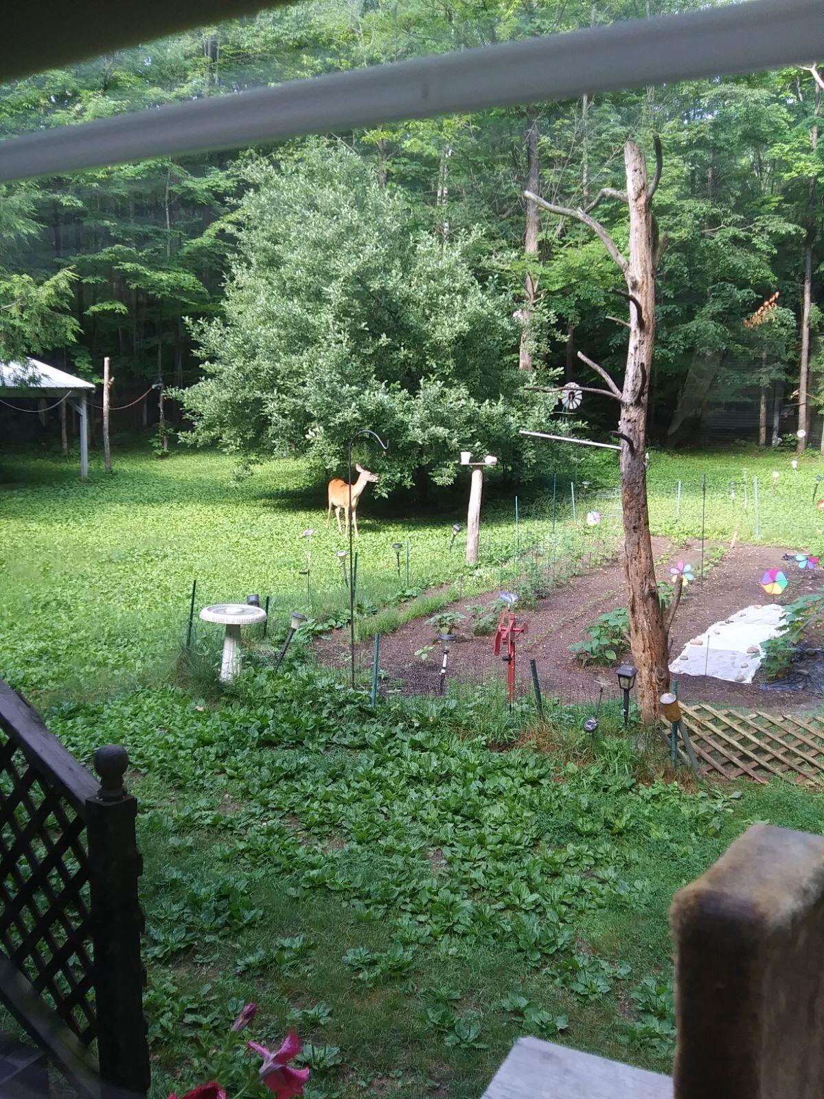 12230 Hall Road Atlanta, MI 49709 - Photo 31 of 35 Gallery Image 31