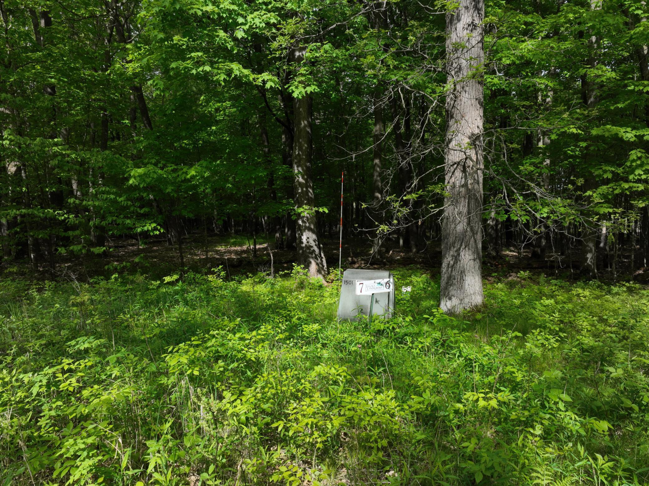 Tbd Pleasant View Trail North Weyerhaeuser, WI 54895 - Photo 4 of 12