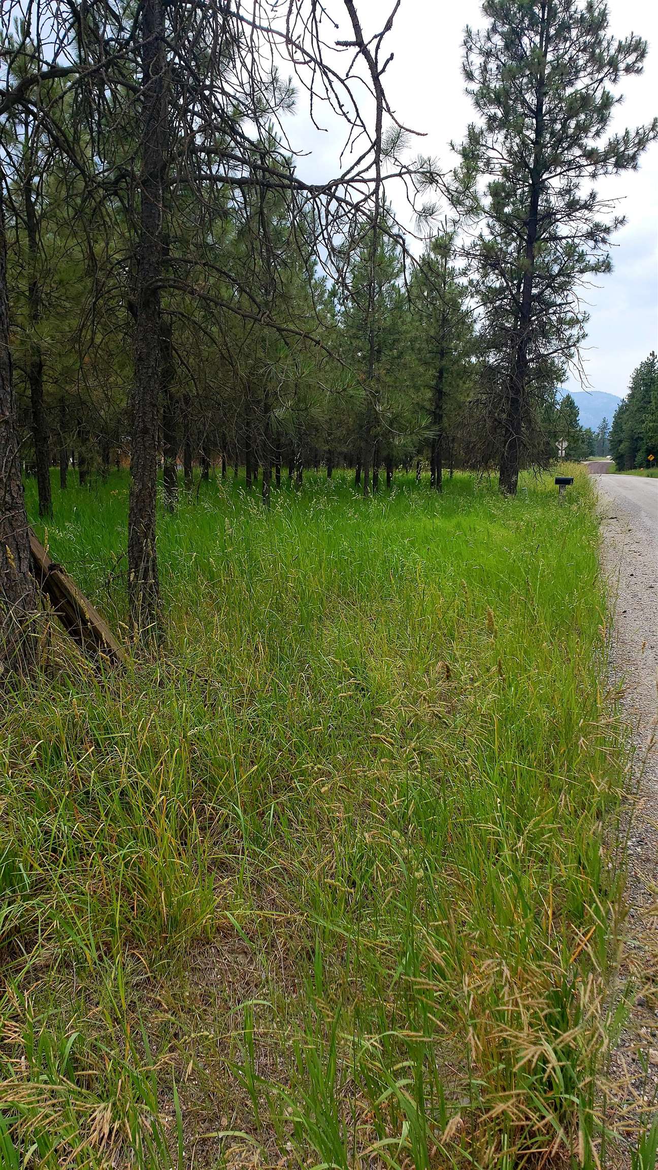 332 Rockcut Road Kettle Falls, WA 99141 - Photo 6 of 27 Gallery Image 6