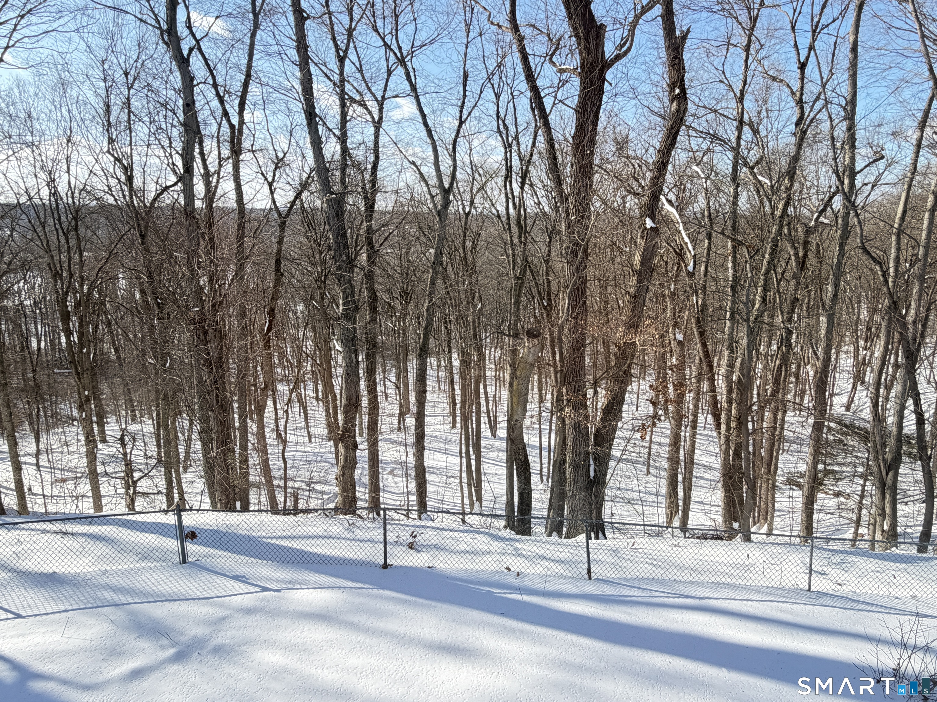 148 High Path Road, Unit 148 Windsor, CT 06095 - Photo 13 of 14 a view of a fountain with a trees in the background