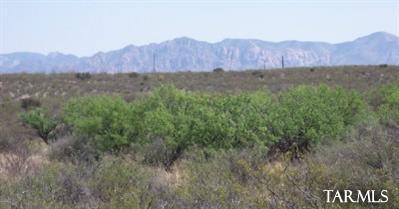 234 West Reed Road Tombstone, AZ 85638 - Photo 3 of 8