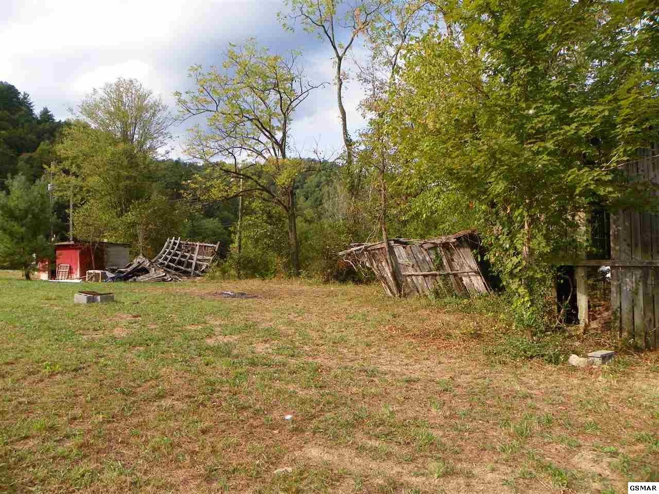 3663 Wilhite Road Sevierville, TN 37876 - Photo 18 of 23 Gallery Image 18