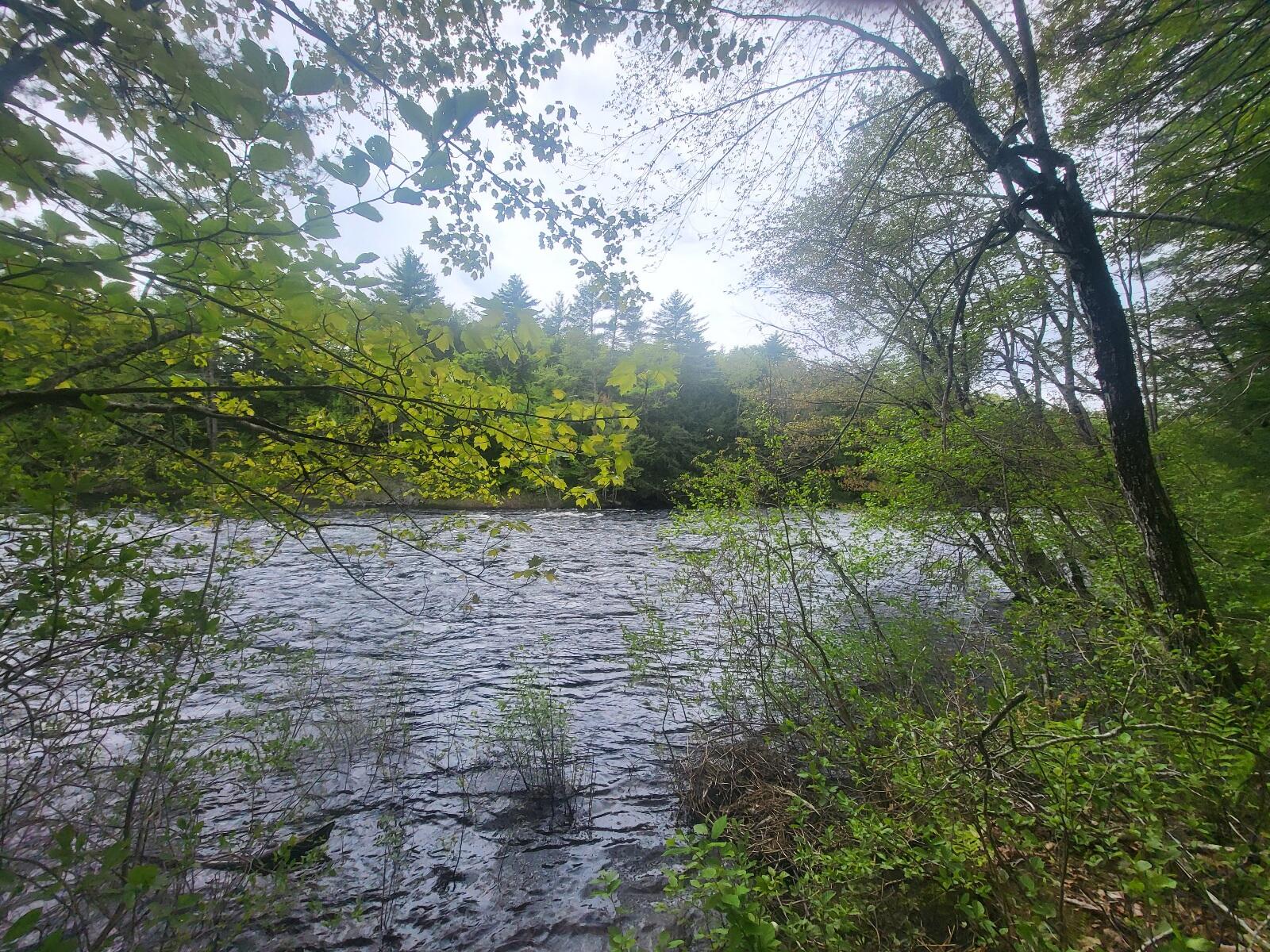 R3-32 Ossipee Trail Porter, ME 04068 - Photo 2 of 5 20250519_135817