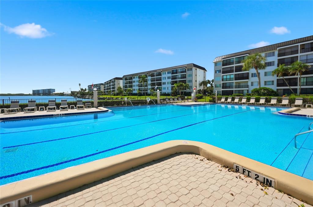 8977 Midnight Pass Road, Unit 223 Sarasota, FL 34242 - Photo 53 of 82 a view of a swimming pool and lounge chairs