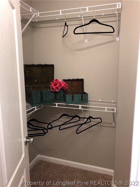 817 Raspberry Road, Unit 100 Stedman, NC 28391 - Photo 17 of 42 Gallery Image 17