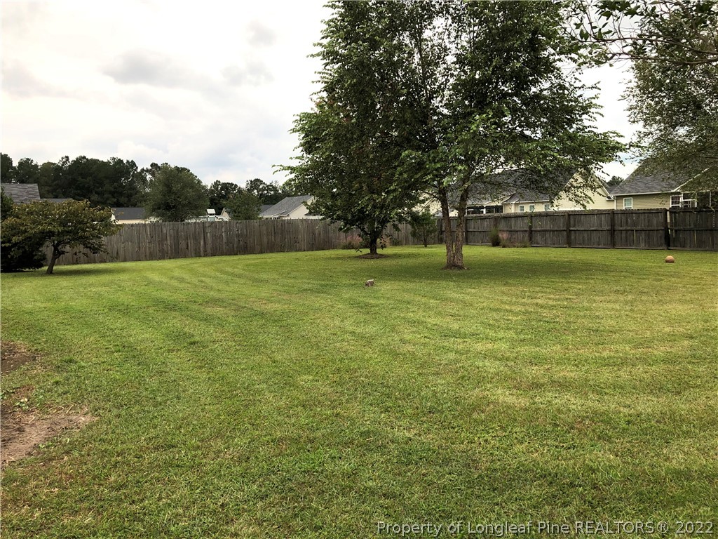 817 Raspberry Road, Unit 100 Stedman, NC 28391 - Photo 32 of 42 Gallery Image 32