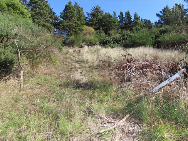 $25,000 | -xx Starr Street, Westport, WA 98595