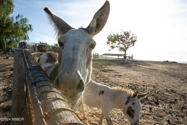 a bedroom with a bed couch and large window