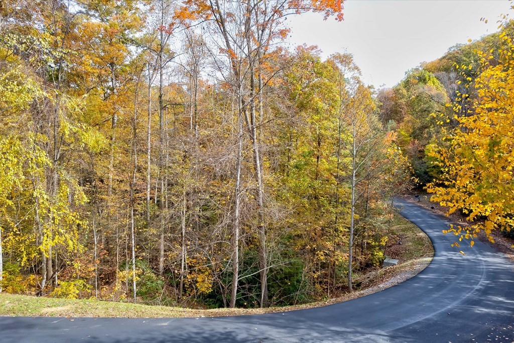 20 Whetstone Road Sevierville, TN 37862 - Photo 4 of 24 Gallery Image 4