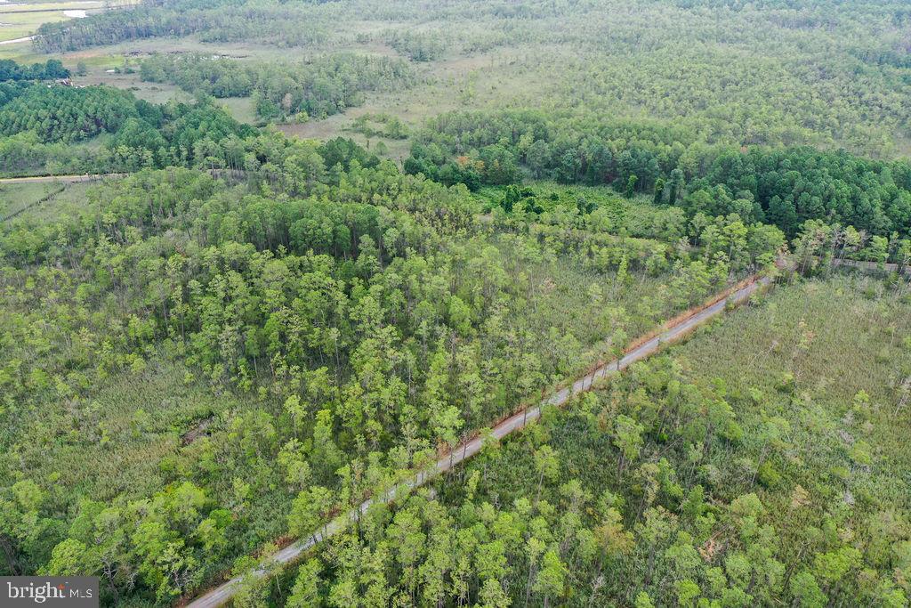 30371 Marumsco Road Marion Station, MD 21838 - Photo 11 of 16