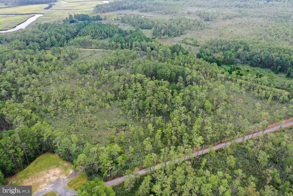 30371 Marumsco Road Marion Station, MD 21838 - Photo 12 of 16