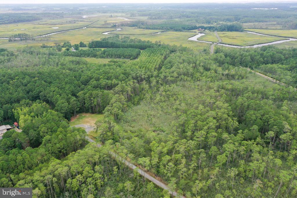 30371 Marumsco Road Marion Station, MD 21838 - Photo 13 of 16