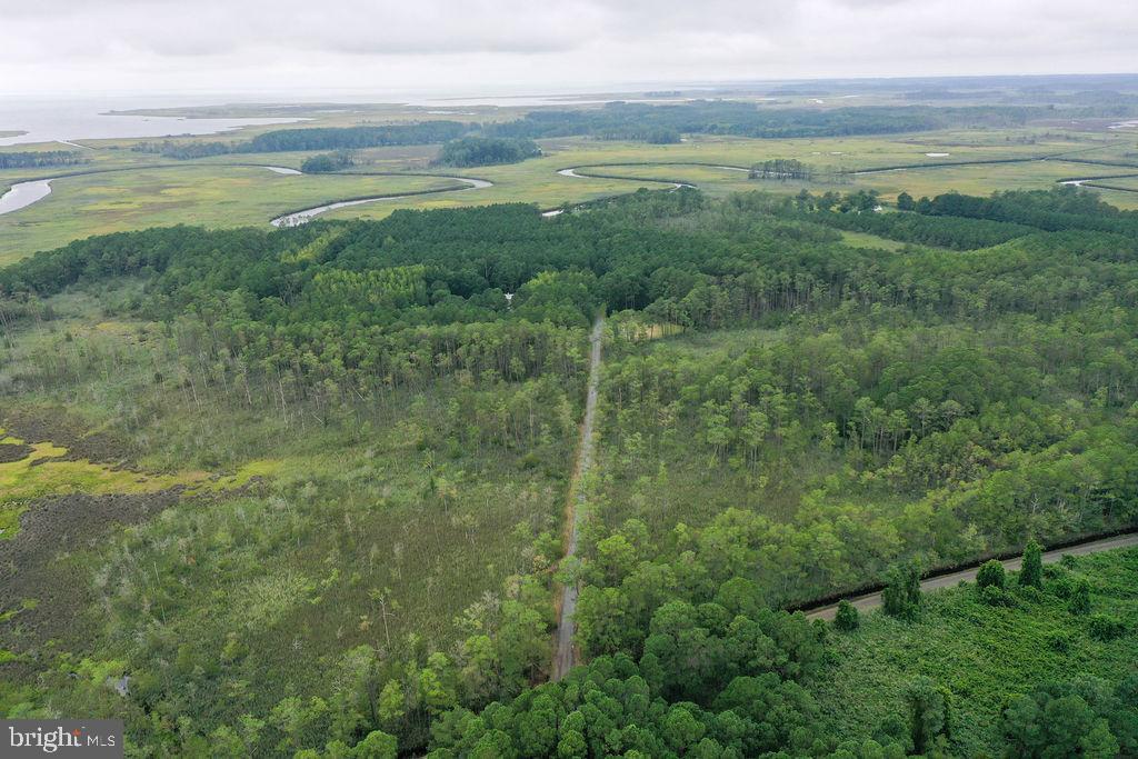 30371 Marumsco Road Marion Station, MD 21838 - Photo 14 of 16