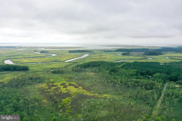 a view of an ocean and beach