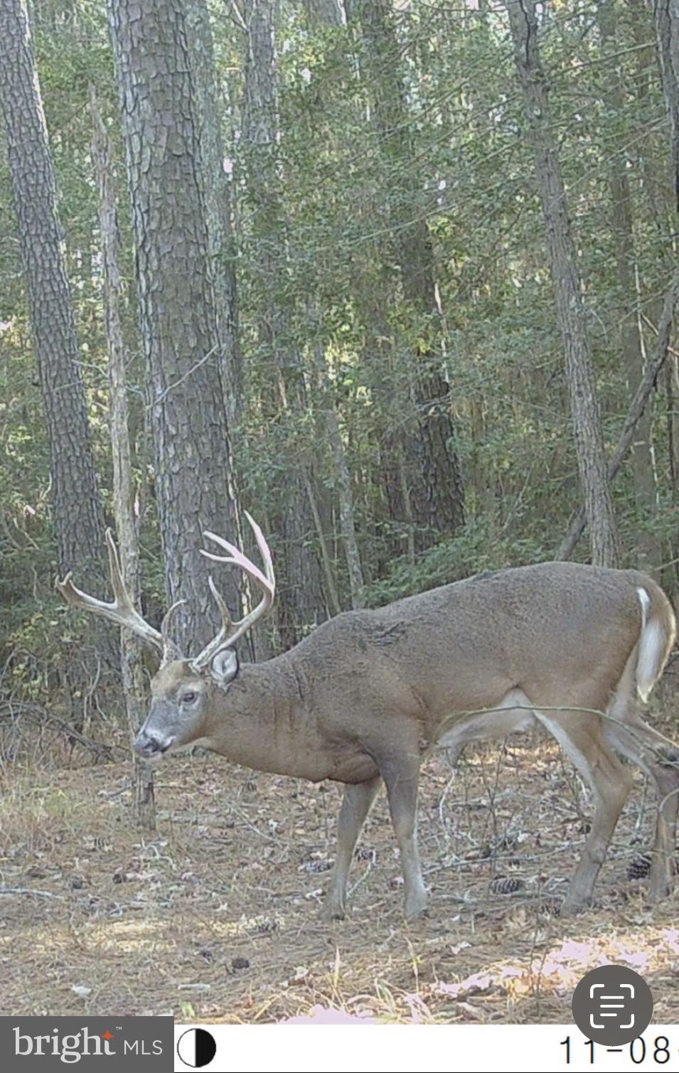 30371 Marumsco Road Marion Station, MD 21838 - Photo 4 of 16