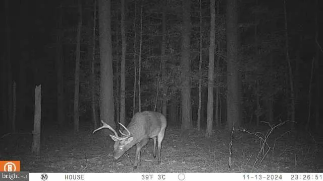 a black and white wall with a chair