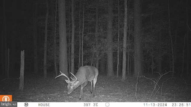 30371 Marumsco Road Marion Station, MD 21838 - Photo 5 of 16