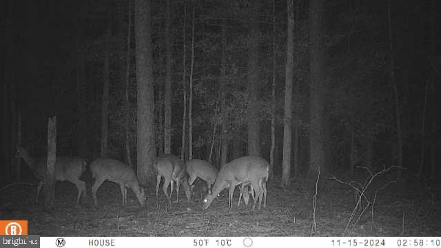 30371 Marumsco Road Marion Station, MD 21838 - Photo 6 of 16