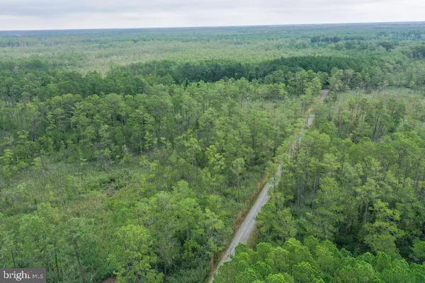 a view of a lush green forest with trees and some houses